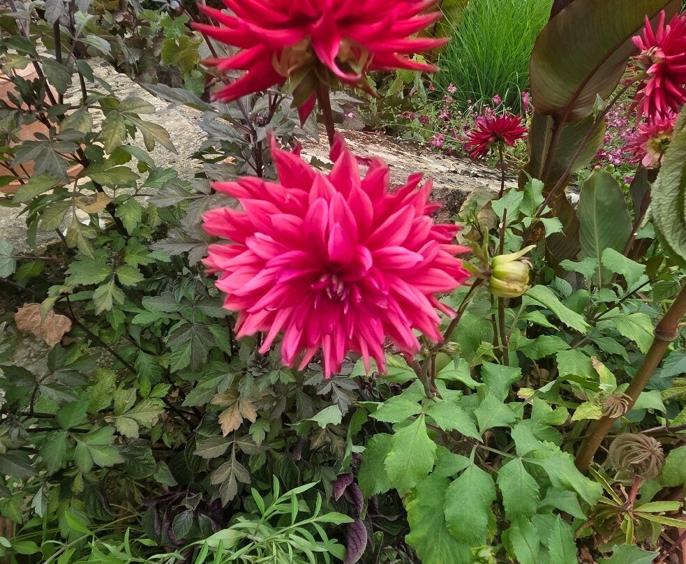 希德蔻特花园-奇平卡姆登必去景点