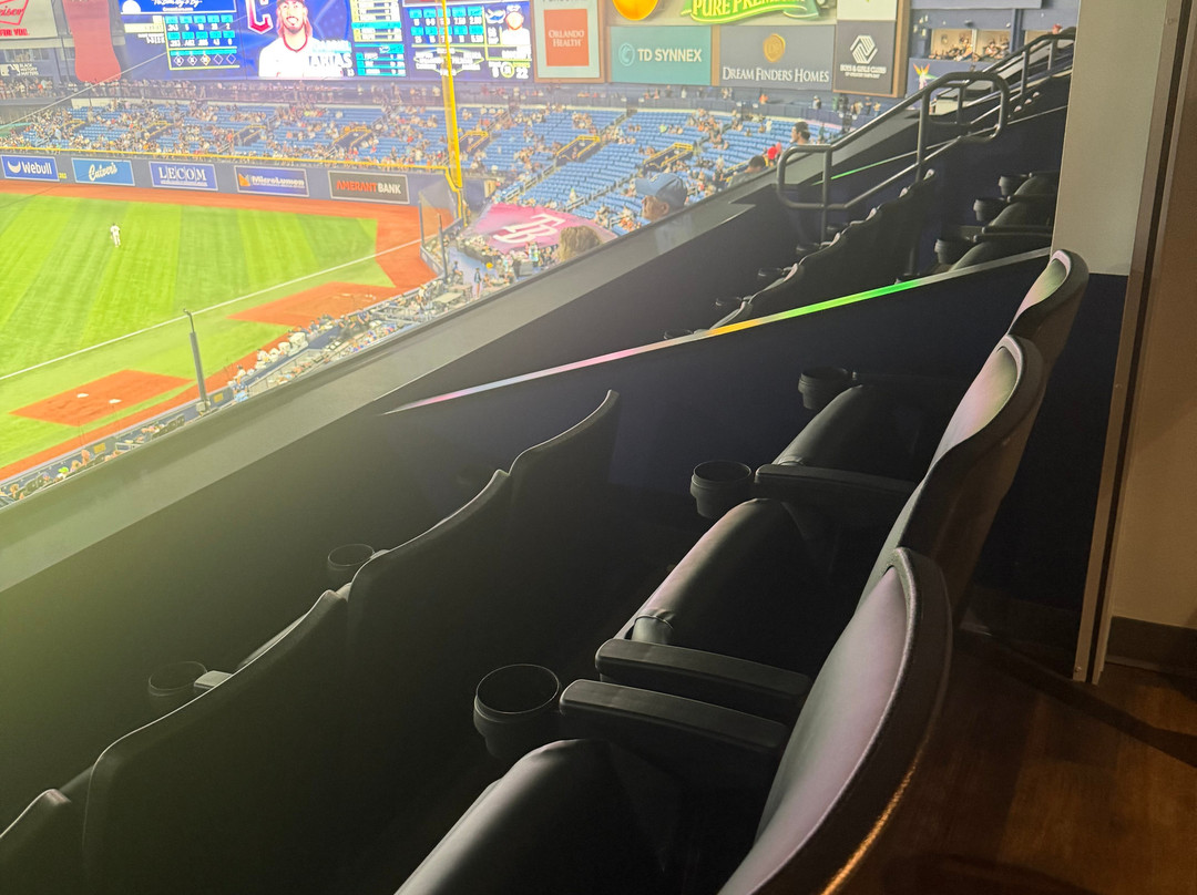 Tropicana Field-圣彼德斯堡必去景点