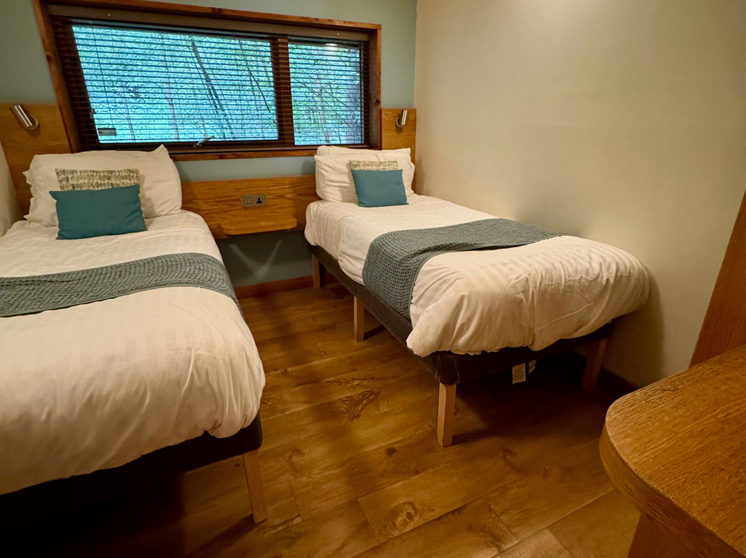 Sherwood Forest Lodge主图