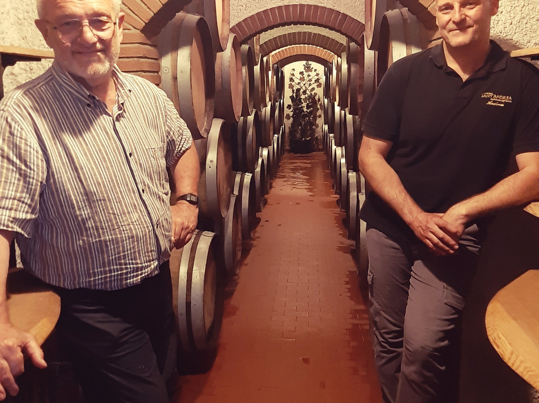 Cantina Sant'Andrea Azienda Agricola-特拉西那必去景点