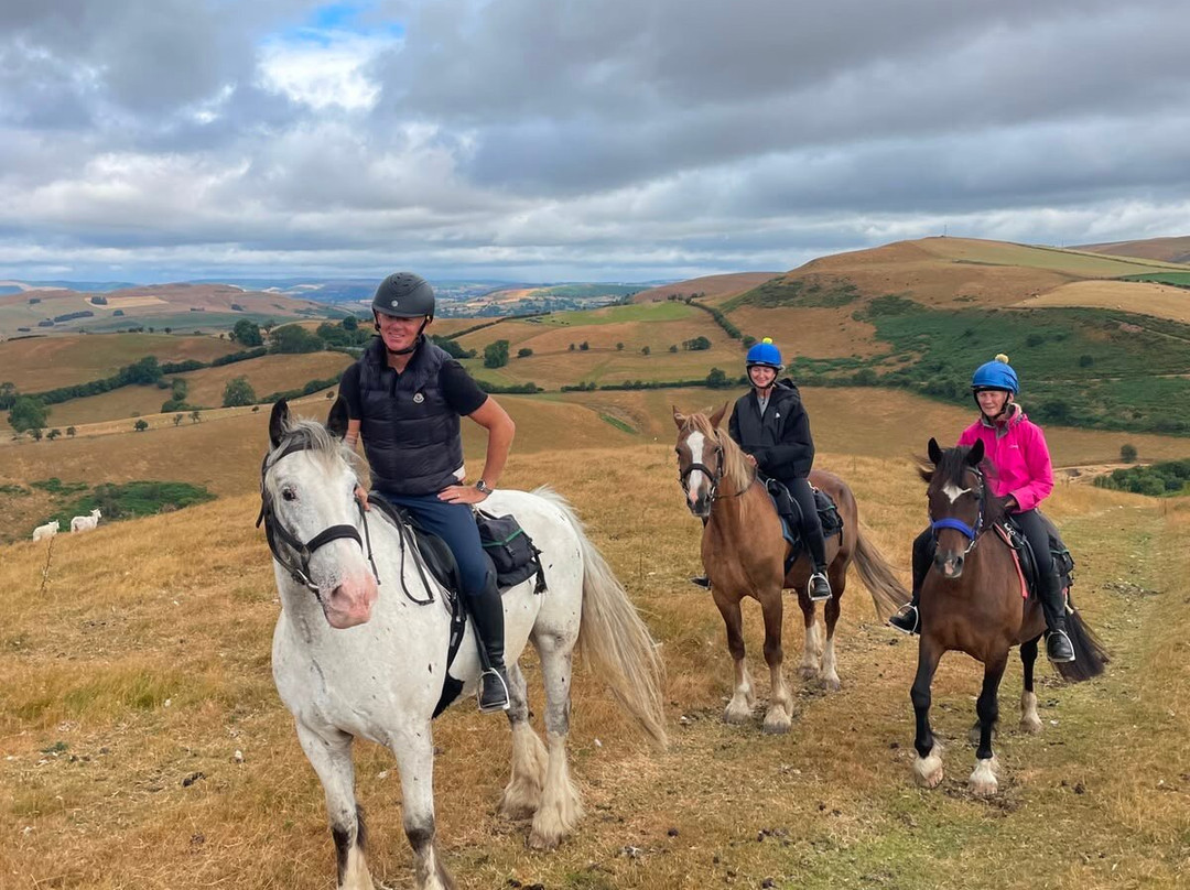 Freerein Riding Holidays-Clyro必去景点