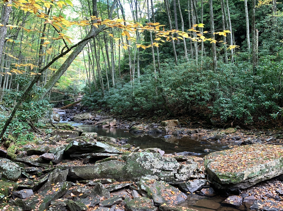 Cascade Falls-Pembroke必去景点