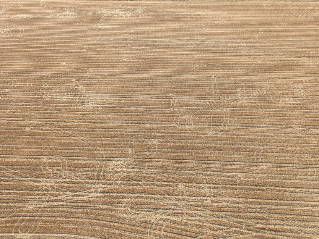 Montgolfiere Sensation-Villebernier必去景点