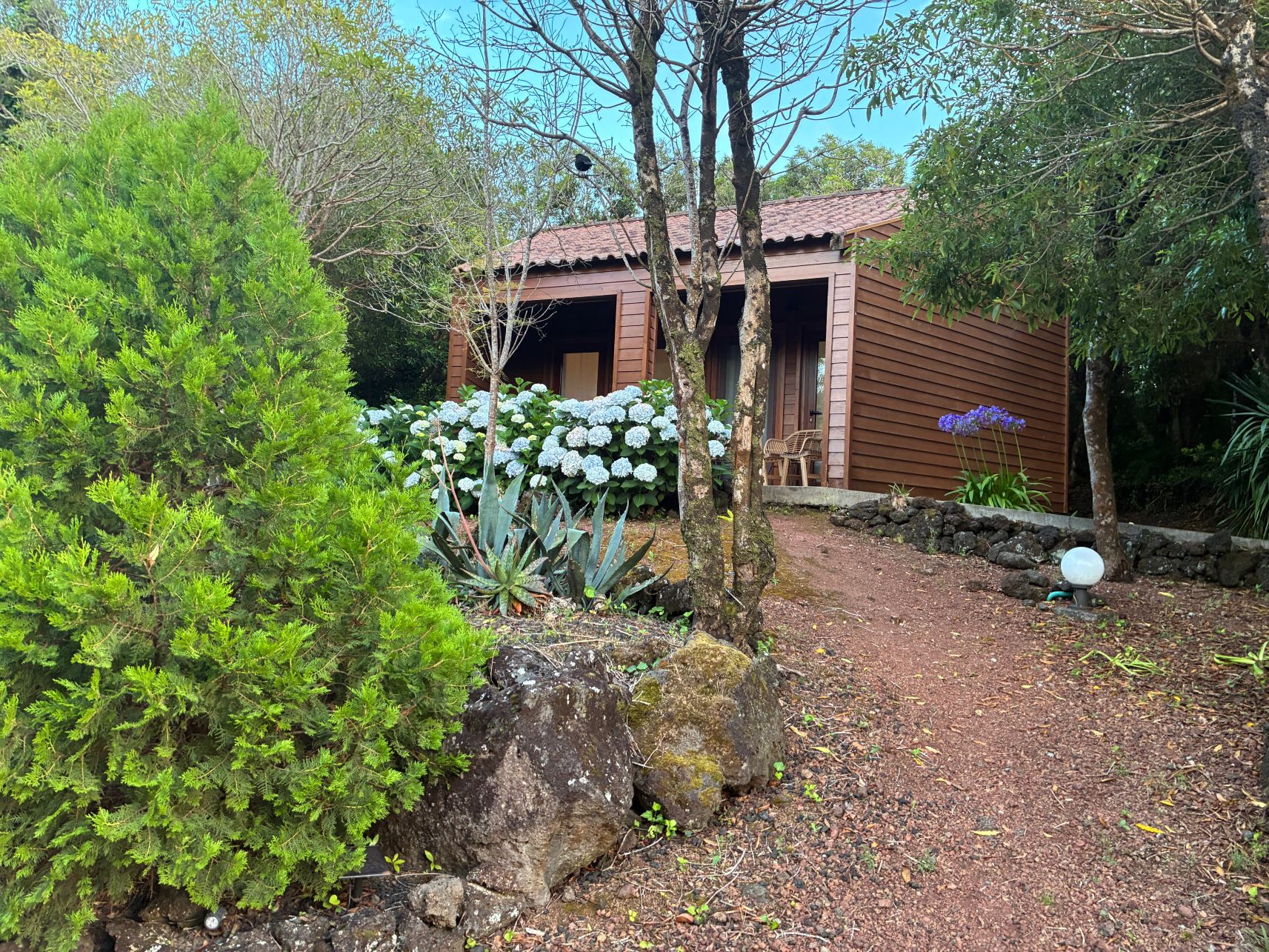Alma do Pico - Nature Residence-旅行者