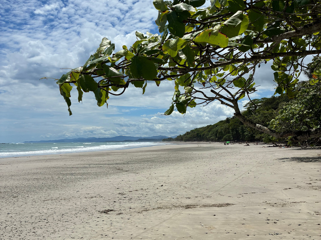 Playa Manzanillo-Manzanillo必去景点