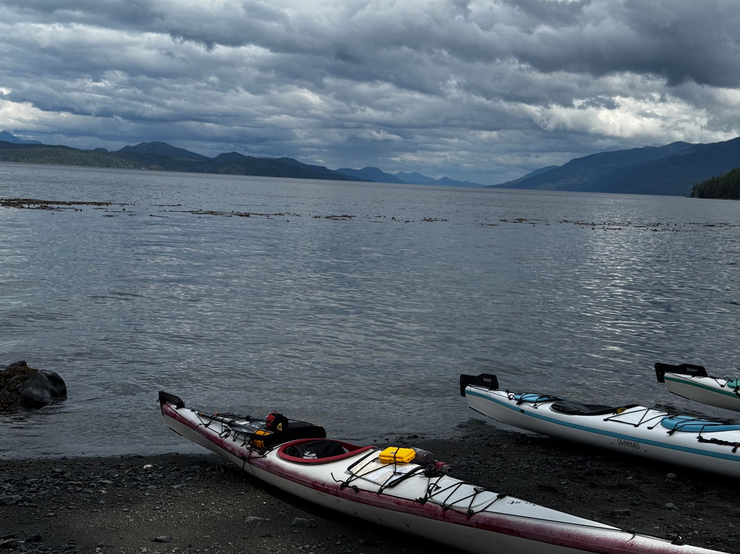 North Island Kayak-Telegraph Cove必去景点