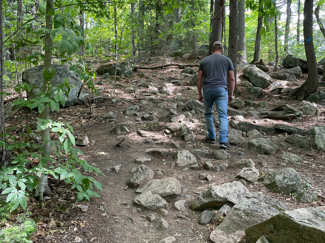 Hardwood Lookout Trail-阿冈昆公园必去景点
