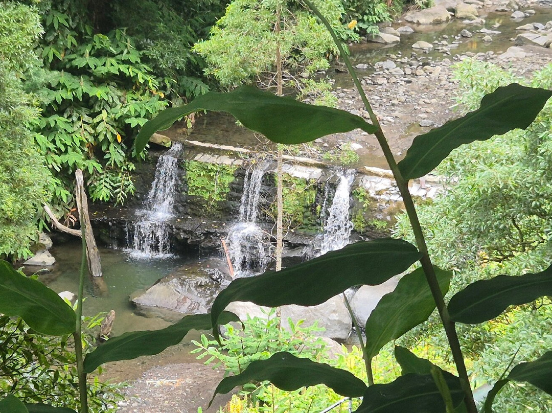 Green Corner Tours-Faja de Baixo必去景点