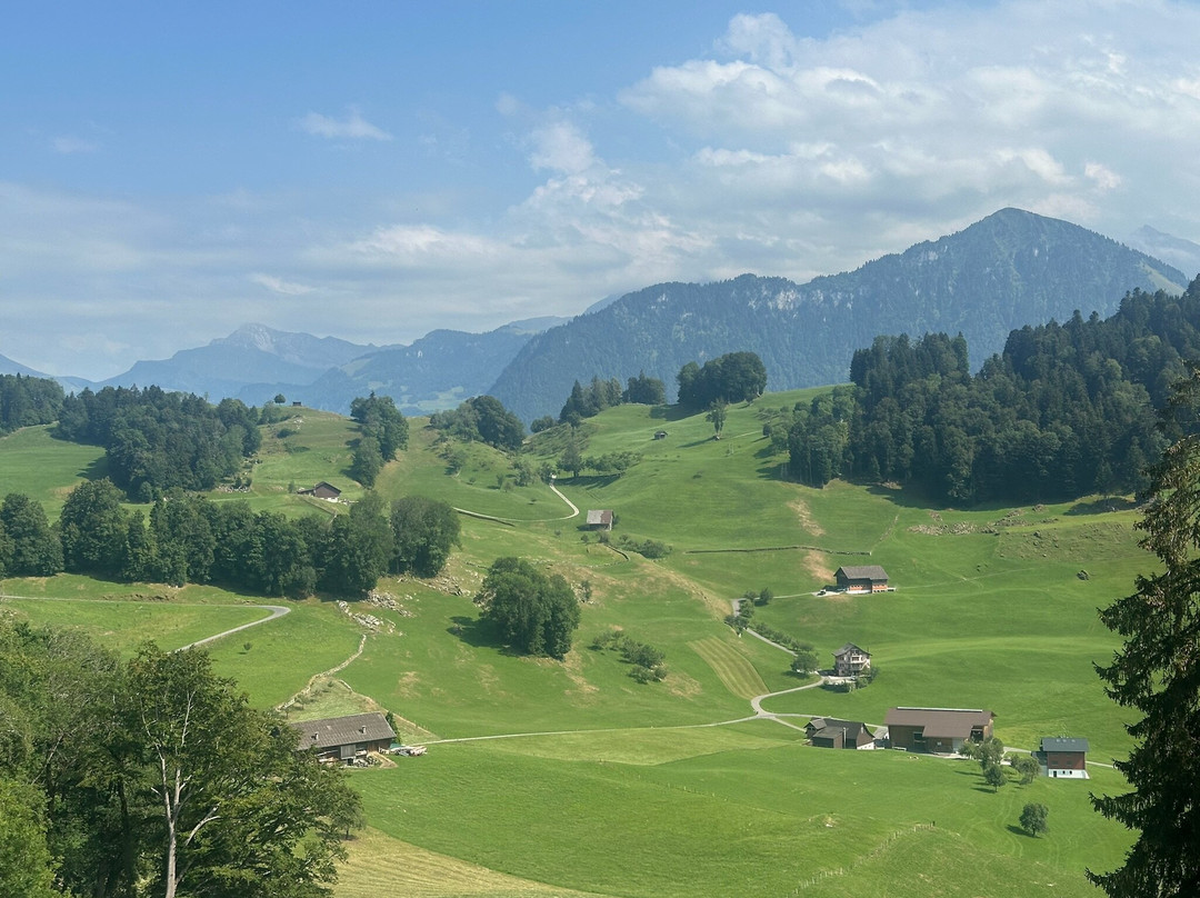 Burgenstock Hotels & Resort Waldhotel & Spa
