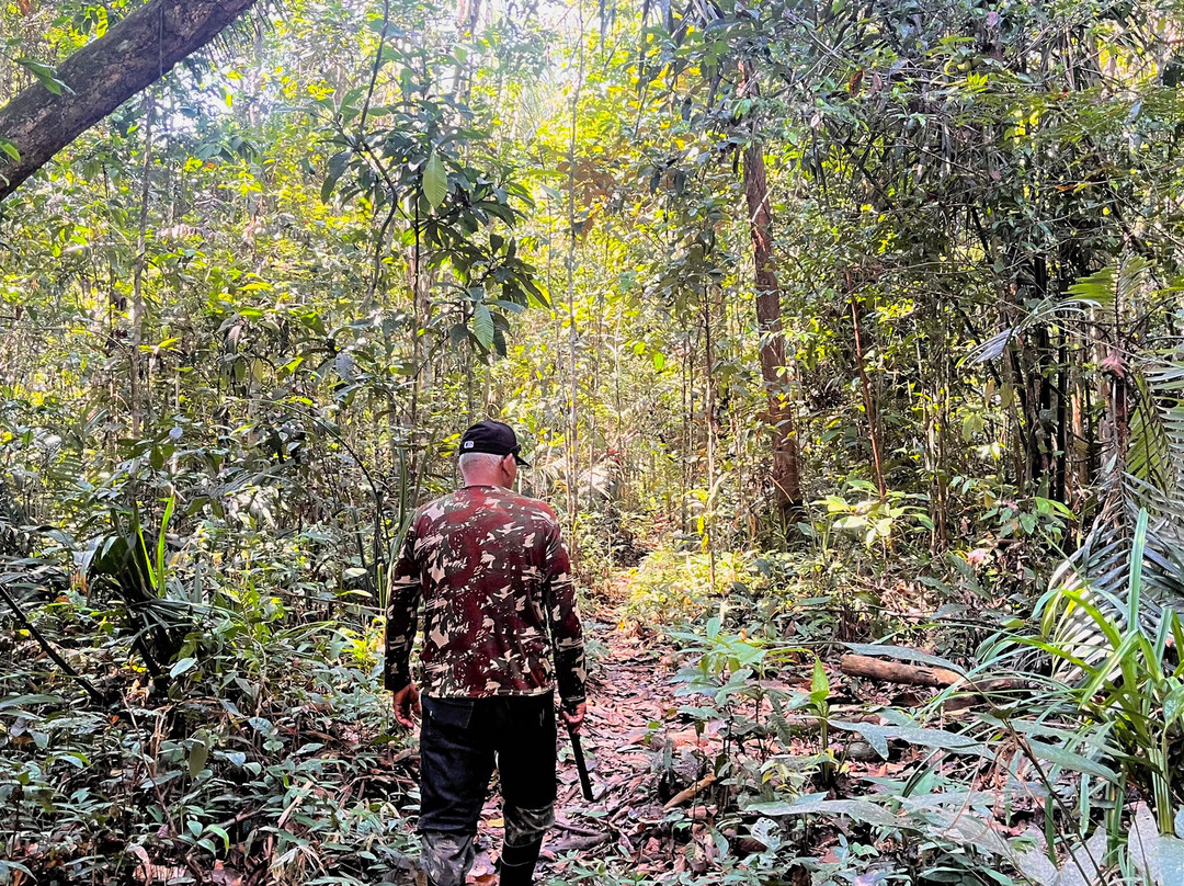 Amazon Rambo Jungle Tours-玛瑙斯必去景点