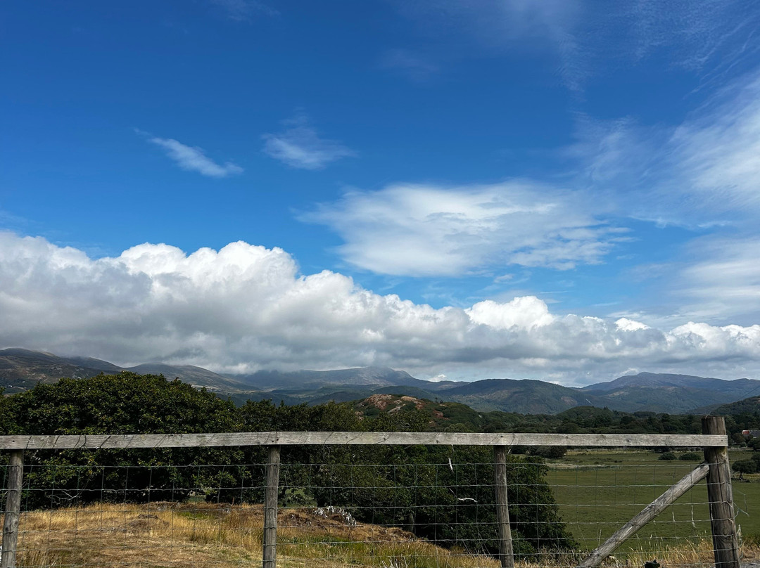 Pony Trekking at Bwlchgwyn Farm-Arthog必去景点