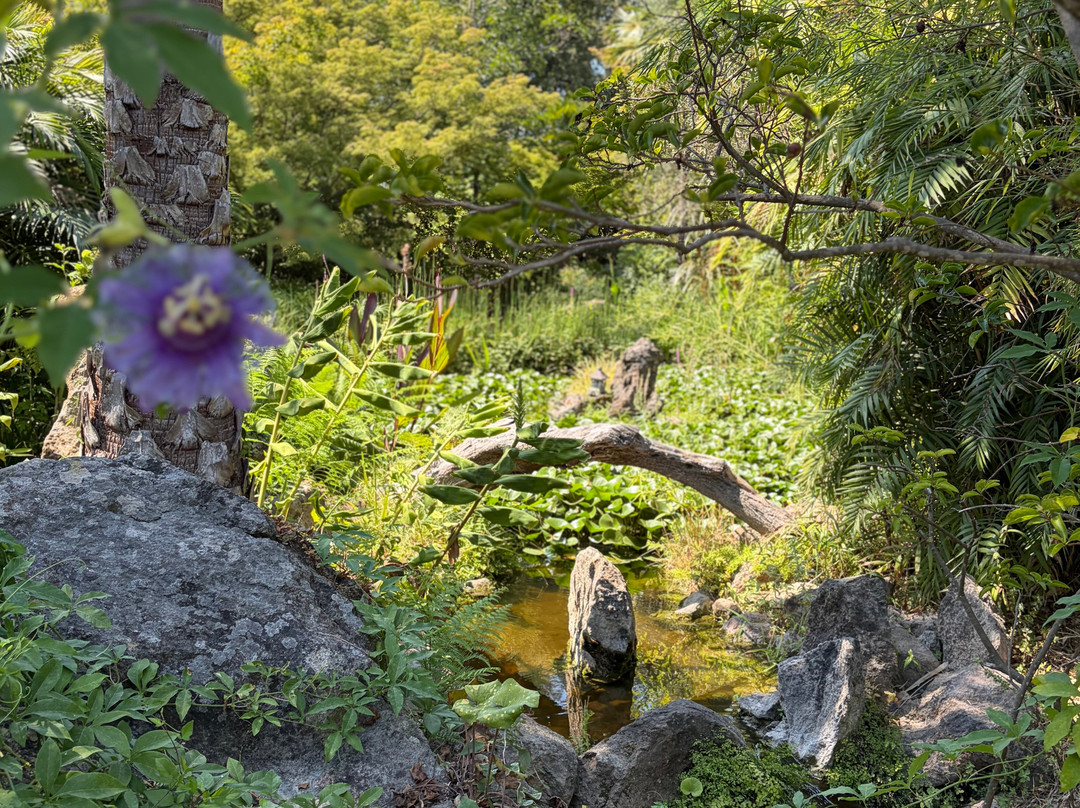 Giardini La Mortella-福里奥必去景点