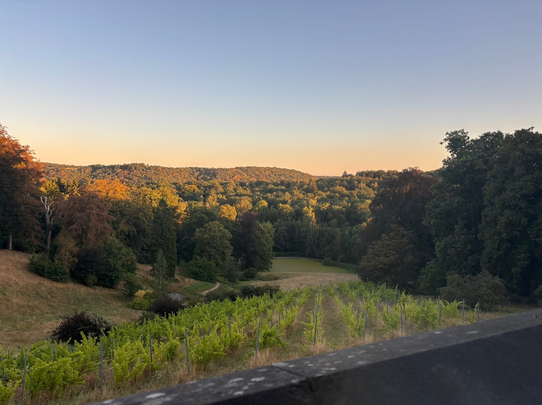 Domaine de Ronchinne - Château et Ecuries主图