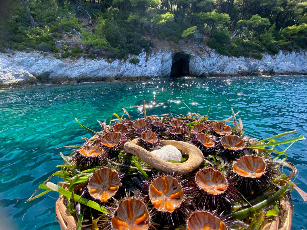 Skiathos Experience-Skiathos Town必去景点