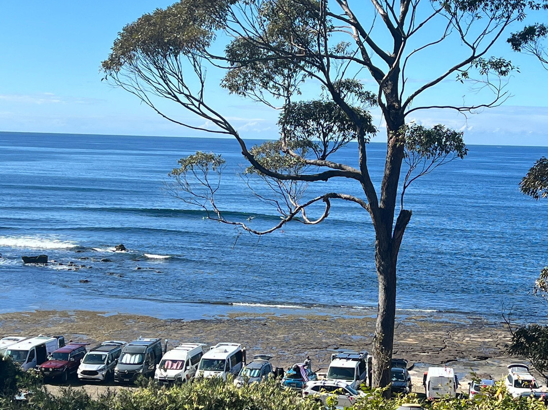 Mollymook Beach Waterfront主图