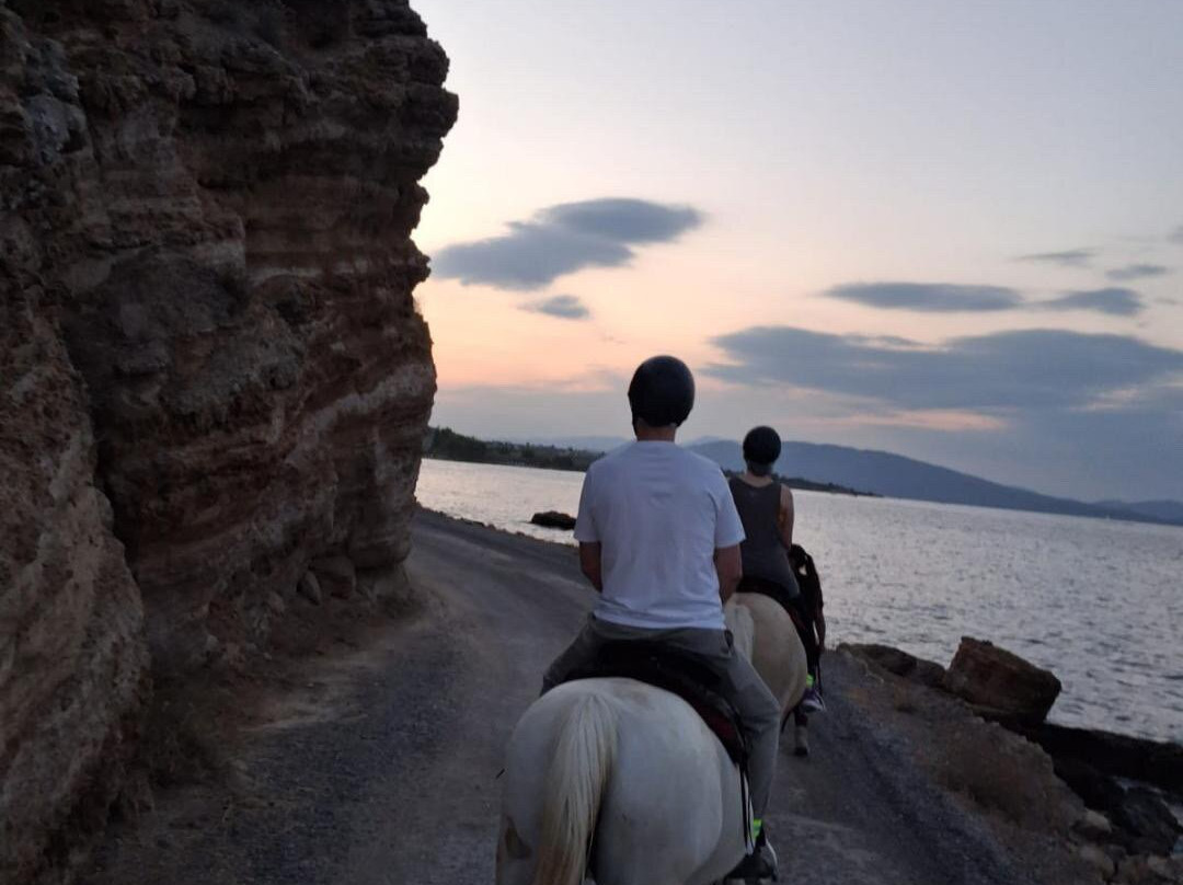 Darko World | Horse Riding Greece - Sea & Farm Experience-Livanates必去景点