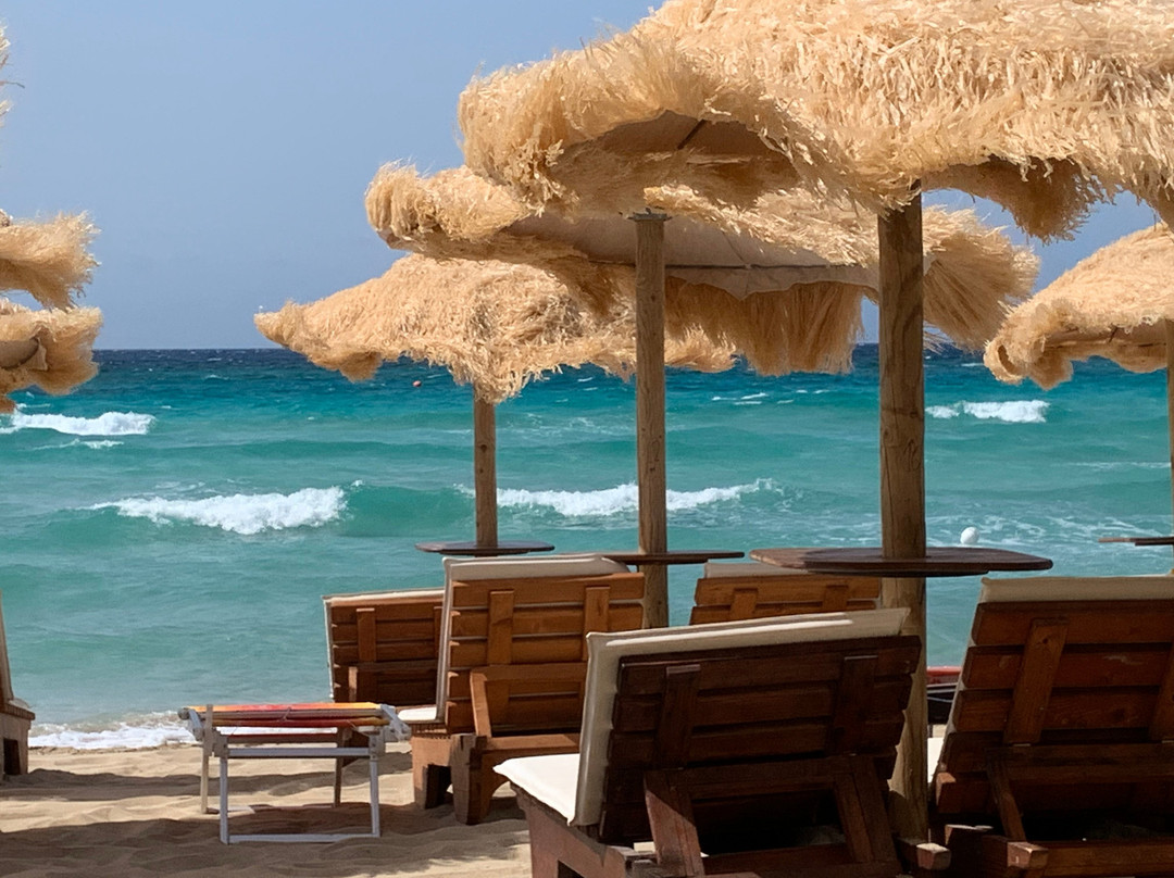 Samanà Beach-Punta Prosciutto必去景点
