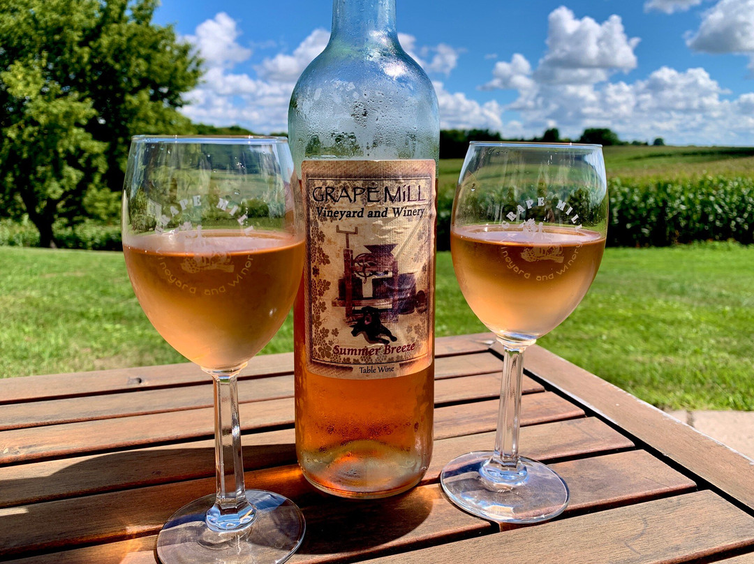 Grape Mill Vineyard and Winery-East Grand Forks必去景点