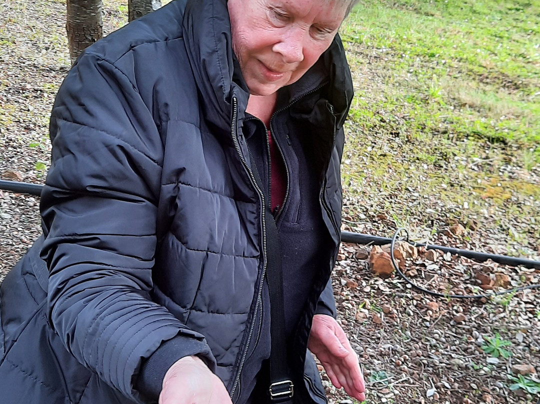 The Truffle Farm Tasmania-德洛兰恩必去景点