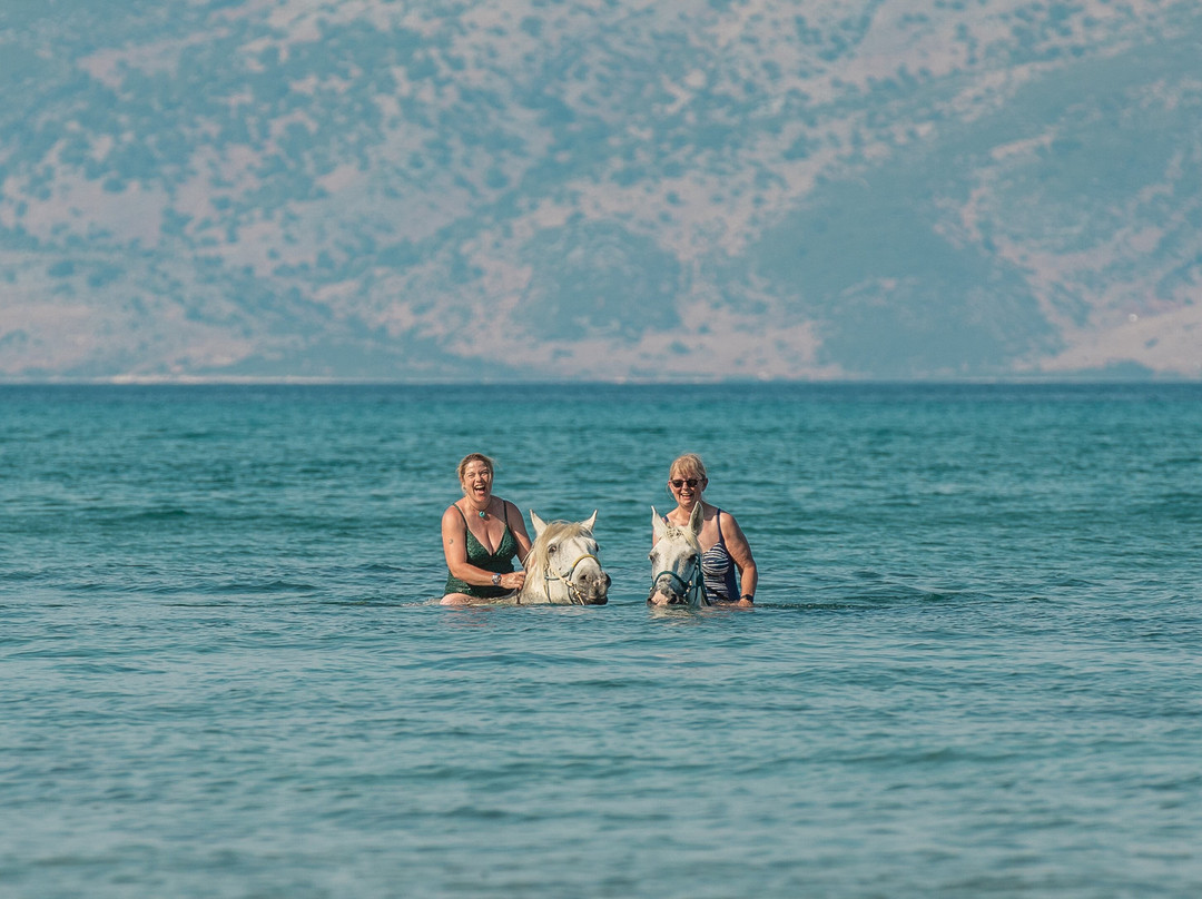 North Corfu Horses-Peritheia必去景点