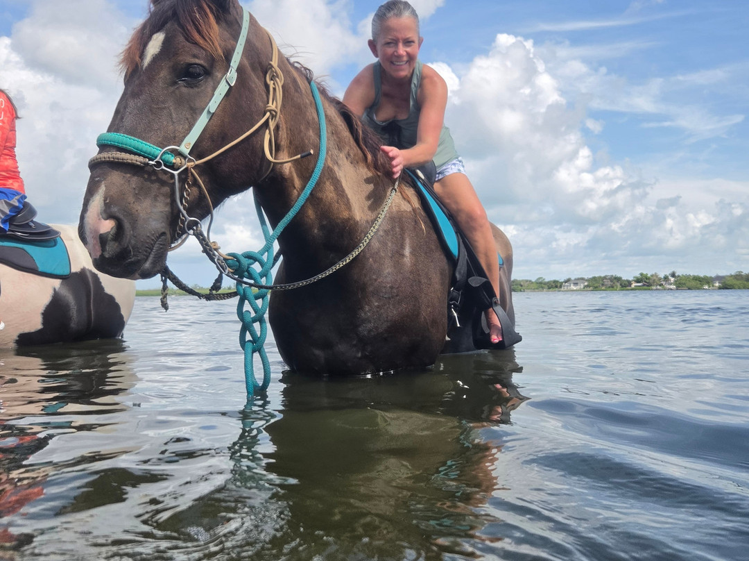 Florida Beach Horses-布雷登顿必去景点