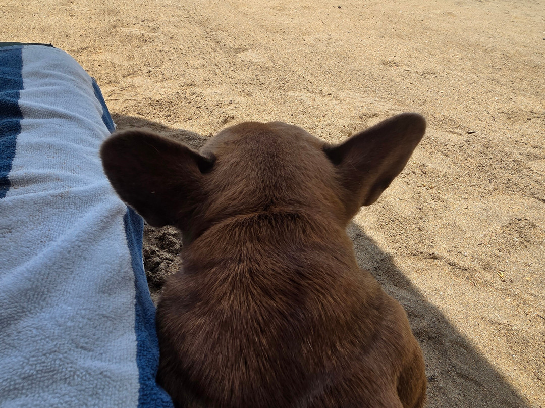 Playa Escondida Sayulita主图