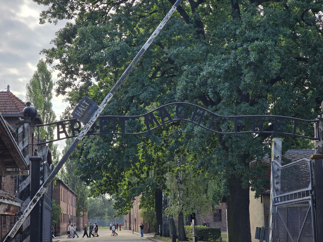 Krakow Auschwitz - Tours-克拉科夫必去景点