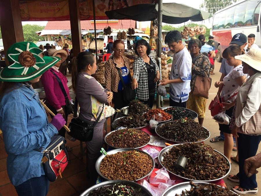 Battambang Tuk Tuk Tours with Him Heng-暹粒必去景点