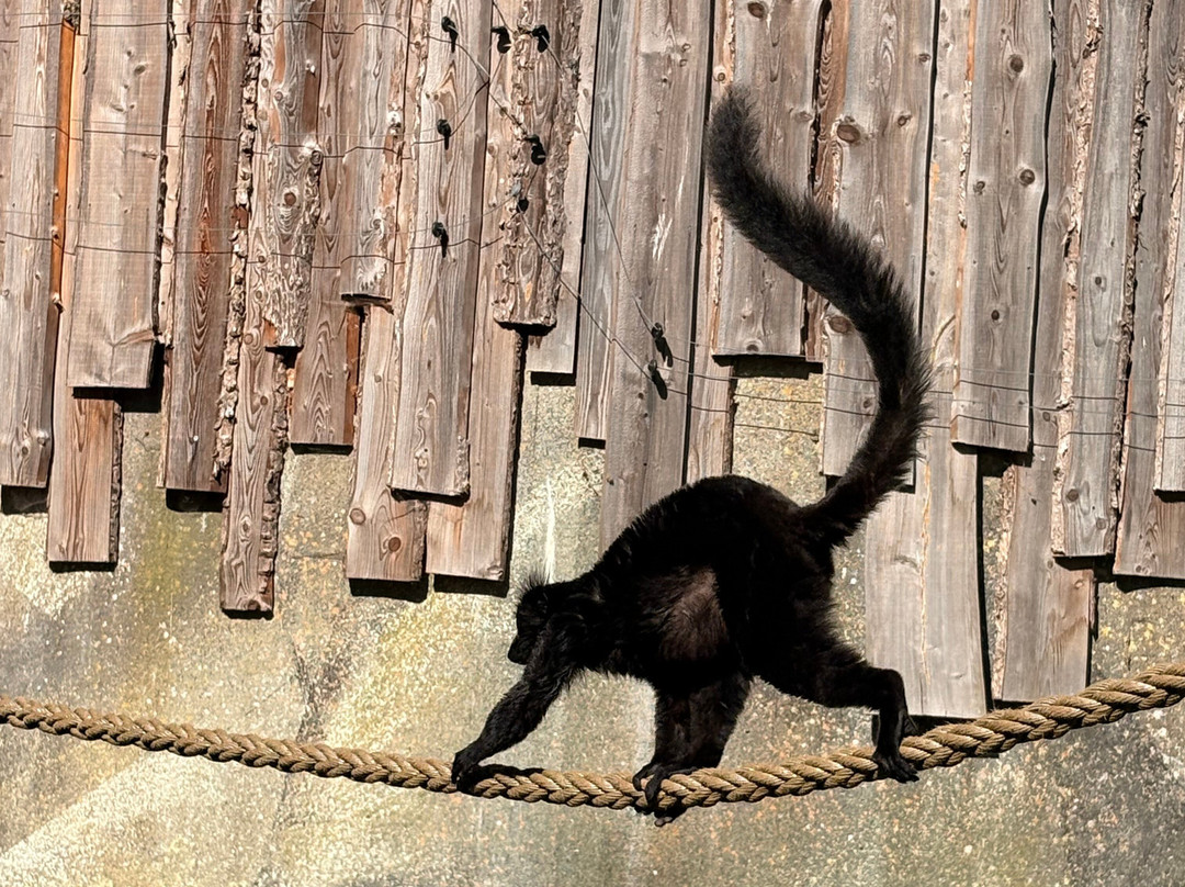 Aalborg Zoologiske Have-奥尔堡必去景点