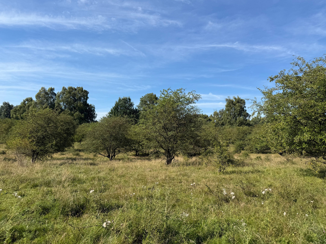 Naturschtuzgebiet Holtigbaum-汉堡必去景点