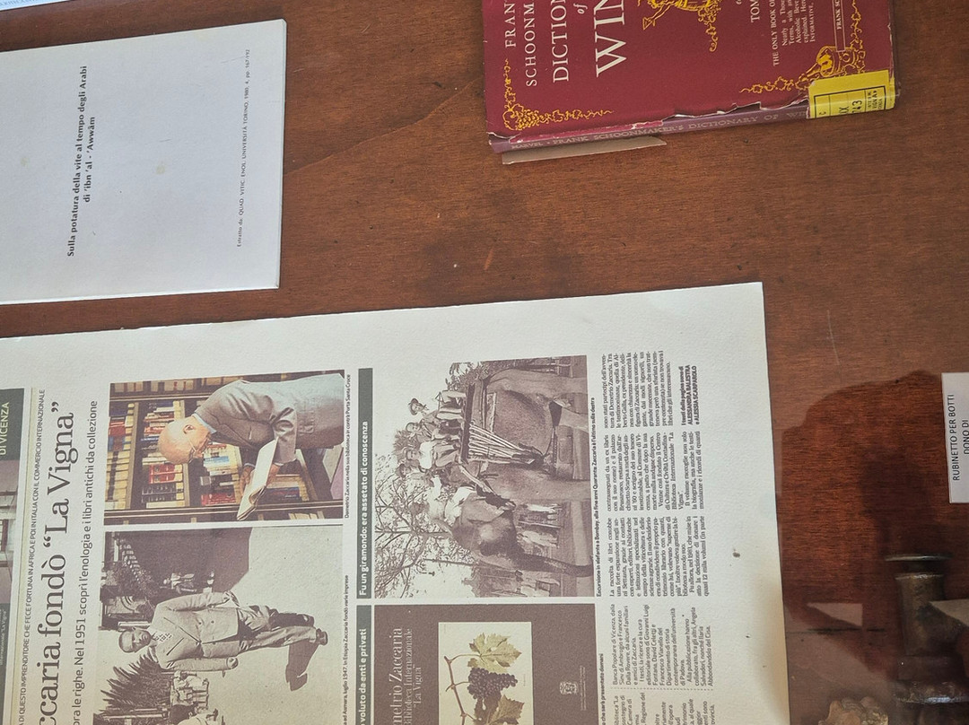 Biblioteca Internazionale La Vigna-维琴查必去景点