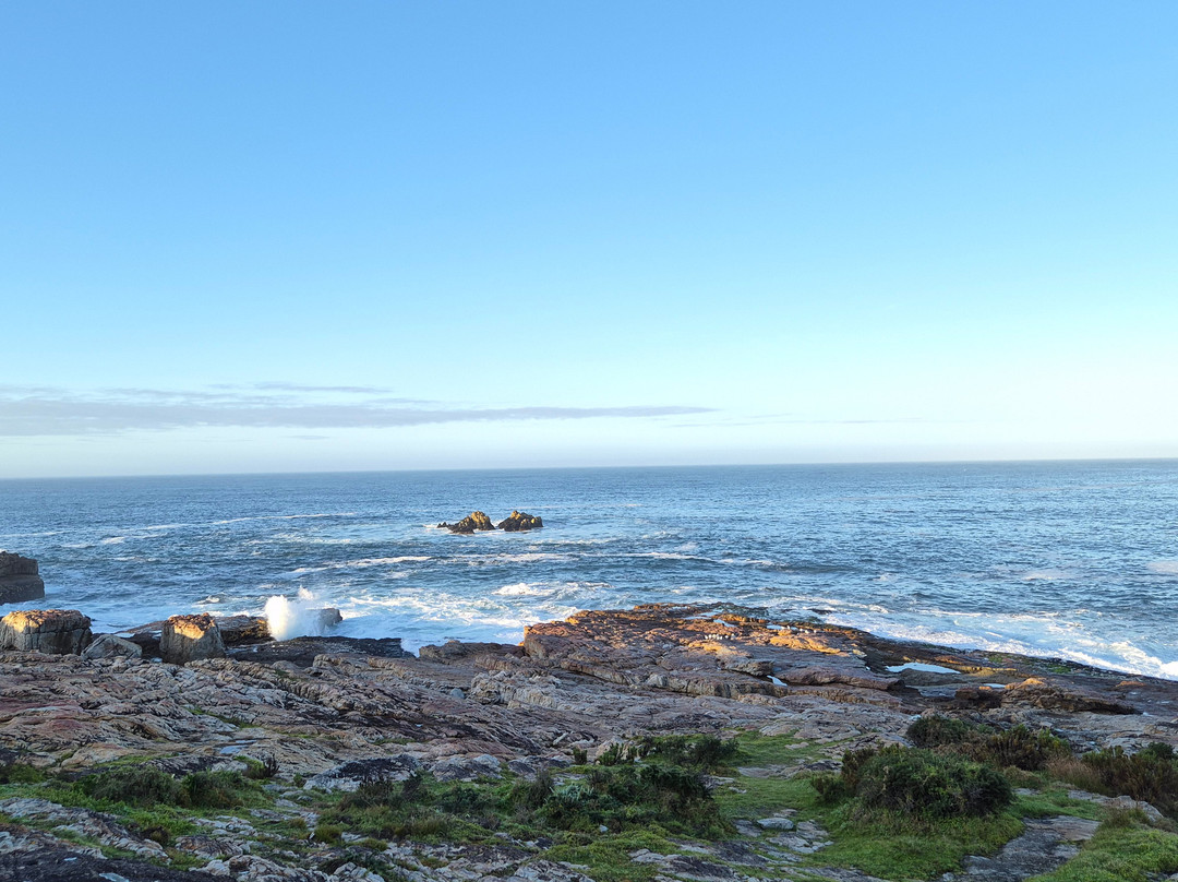 Hermanus Cliff Path-赫曼努斯必去景点