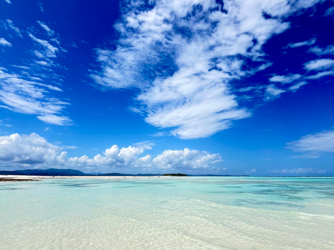 Madagascar Tour Severino-Dzamandzar必去景点