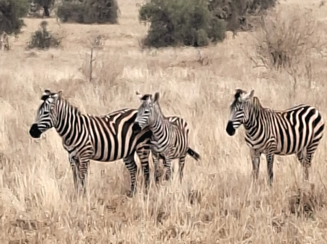 Top Africa Safaris-迪亚尼必去景点
