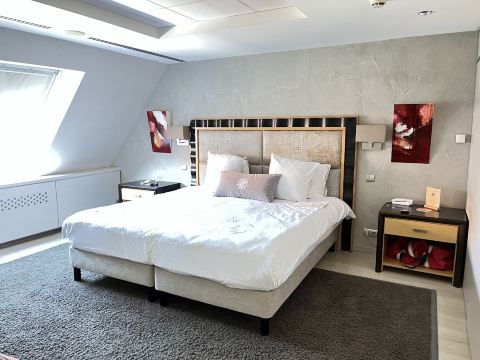 Hotel L'Europe Colmar, BW Signature Collection-客卧