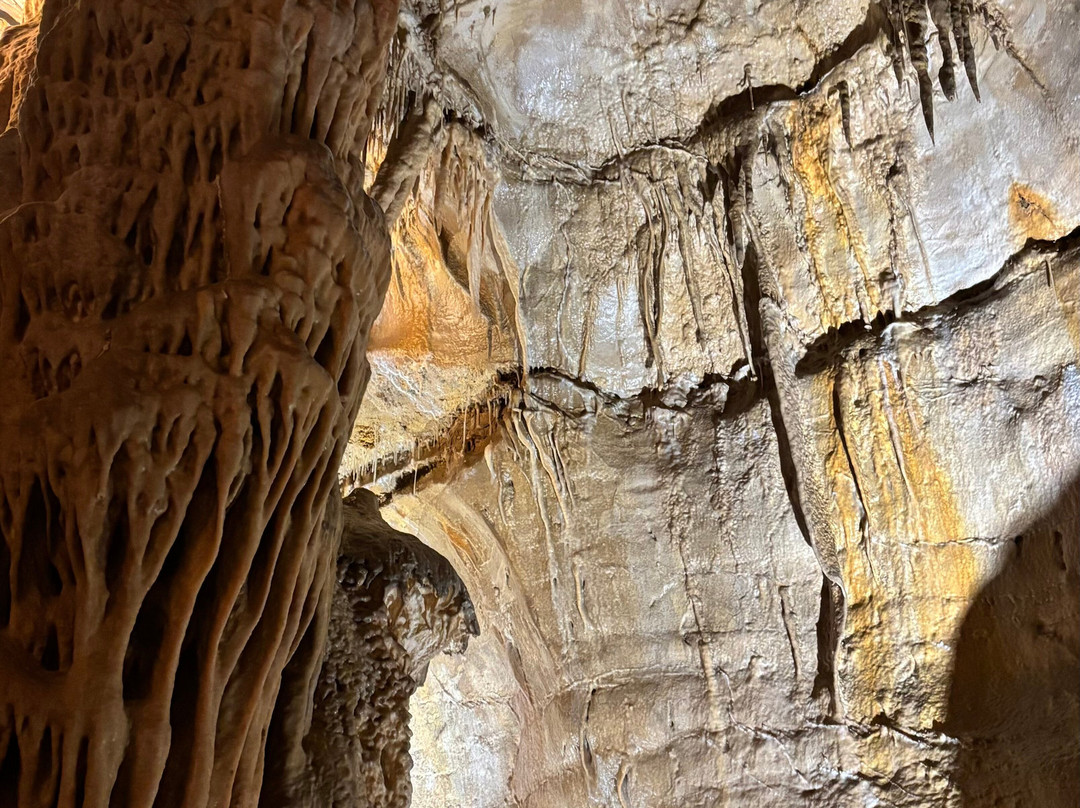 Grotte de Néron-Soyons必去景点