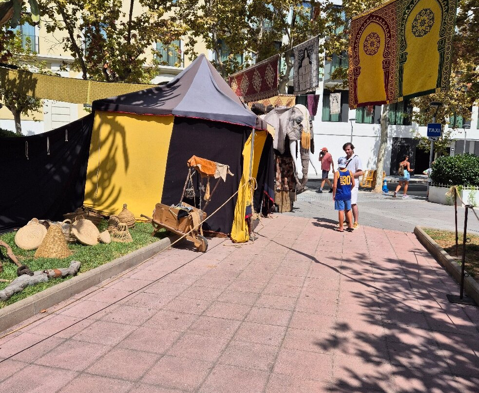 Mercat Medieval ( Medieval Market  )-萨洛必去景点