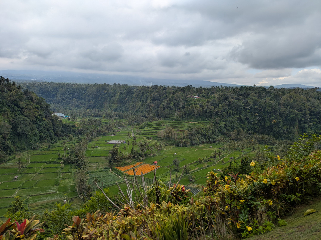 Bali Viaje-Batubulan必去景点