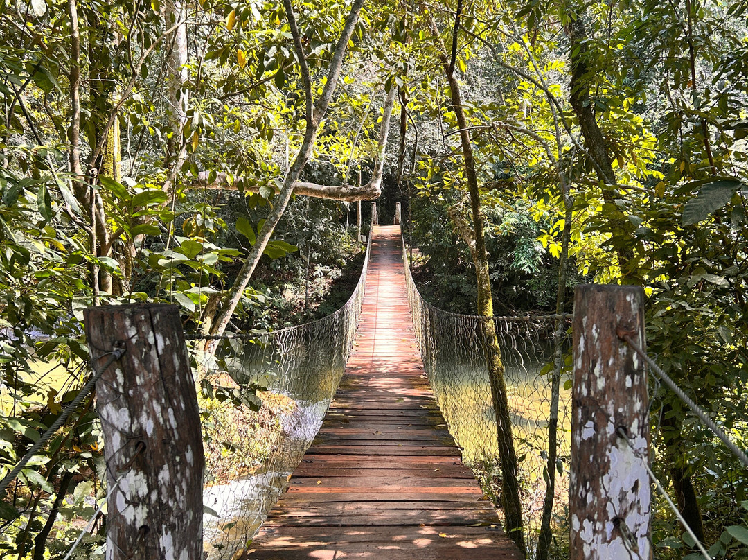 Serra da Bodoquena Waterfalls-Bodoquena必去景点