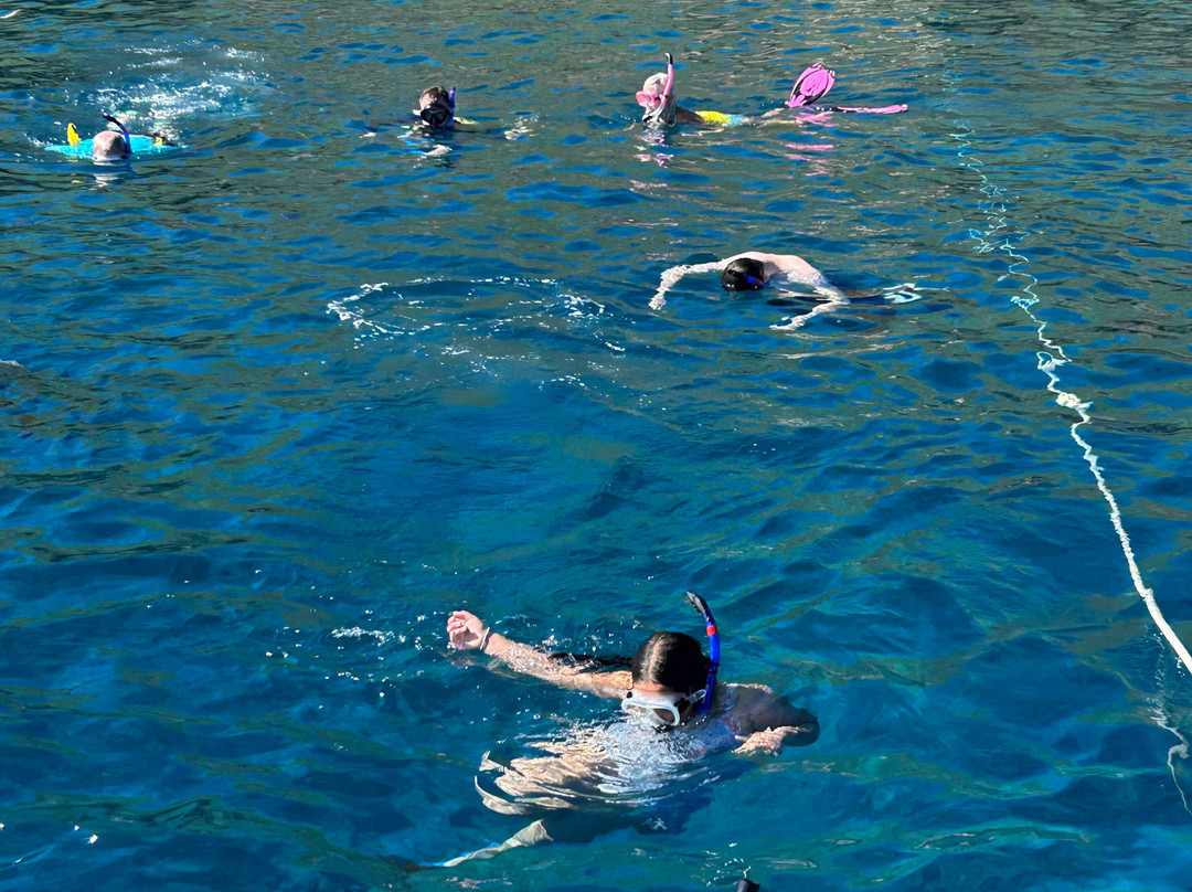 Maui Snorkeling-玛阿拉也亚必去景点