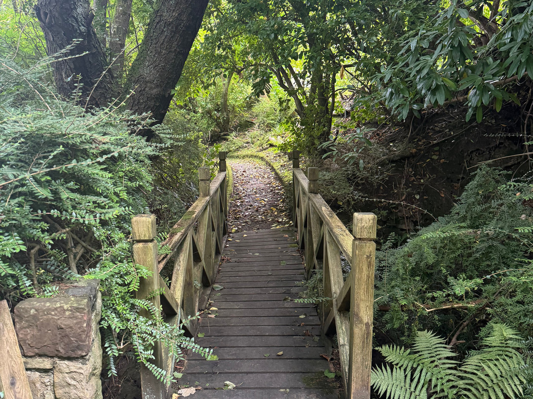 Arbigland House and Gardens-邓弗里斯必去景点