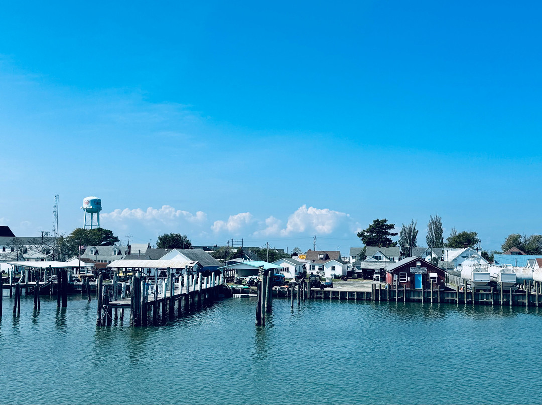 Tangier Cruises-Reedville必去景点