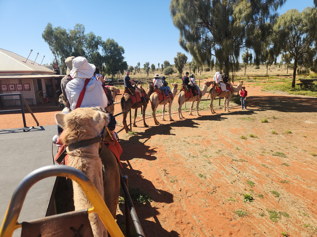 Uluru Camel Tours-尤拉拉必去景点