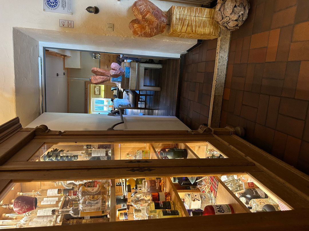 魔锐维特酒店主图