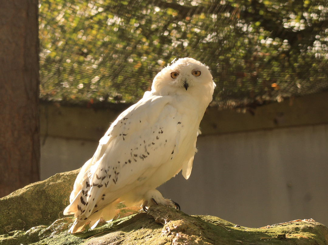 Lakeland Wildlife Oasis-Milnthorpe必去景点