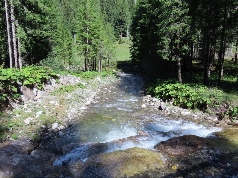 Torrente Fiorentina-Selva di Cadore必去景点