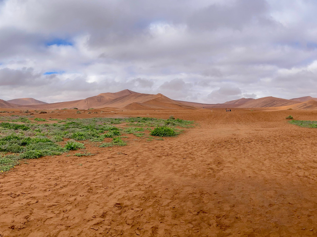 Deadvlei-苏丝斯黎必去景点