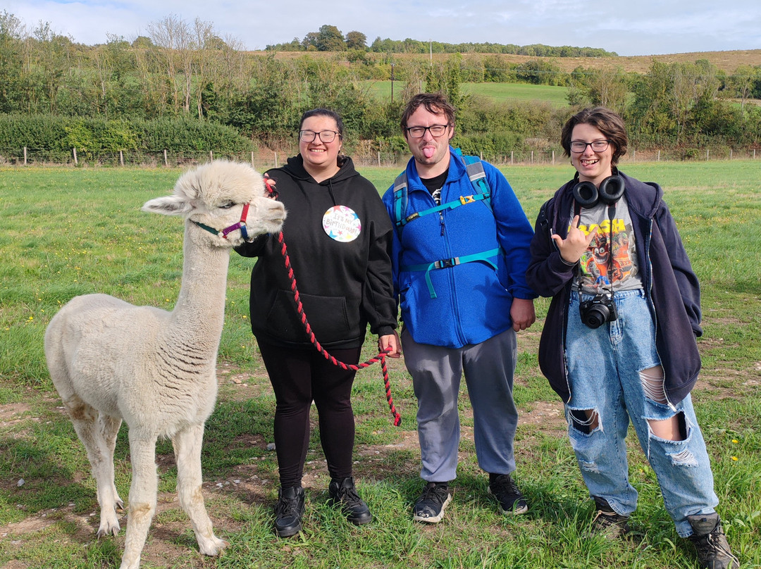 Lower Bush Alpacas-Cuxton必去景点