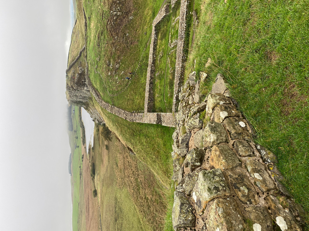 Saughy Rigg Farm主图