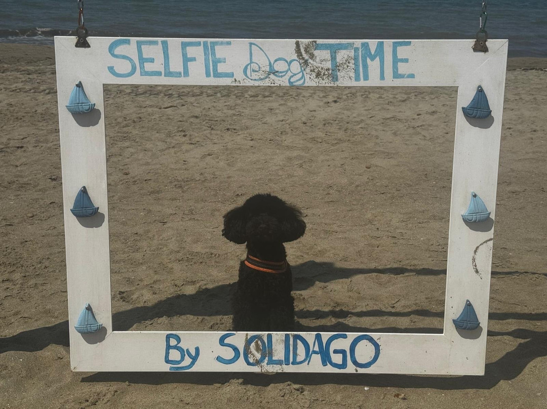 Solidago Beach-Tirrenia必去景点